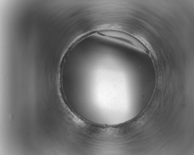 X0000068750992200605121605