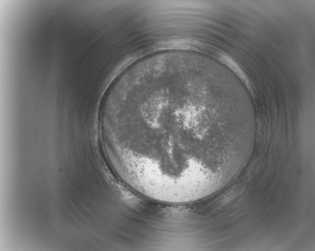 X0000068750994200605121605