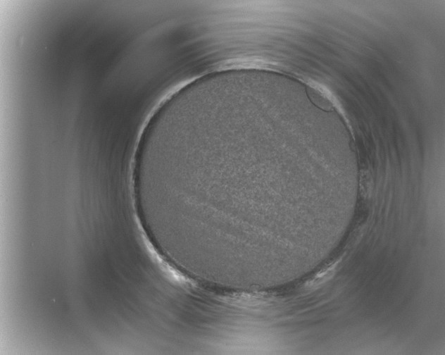 X0000068750995200605121605