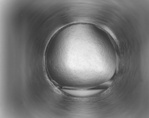 X0000068750996200605121605