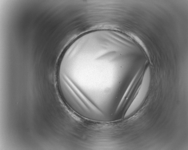 X0000068750997200605121605