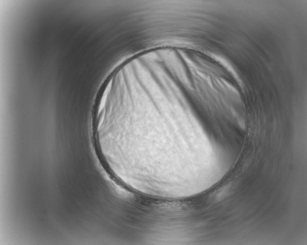 X0000068750999200605121605