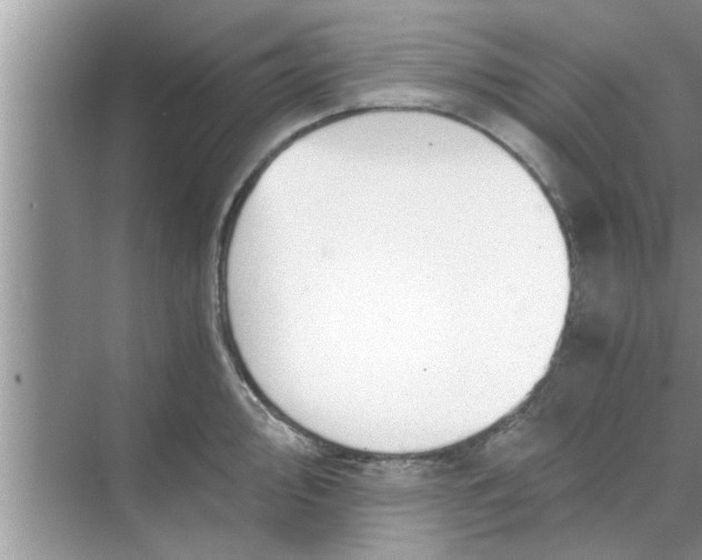 X0000068751000200605121605