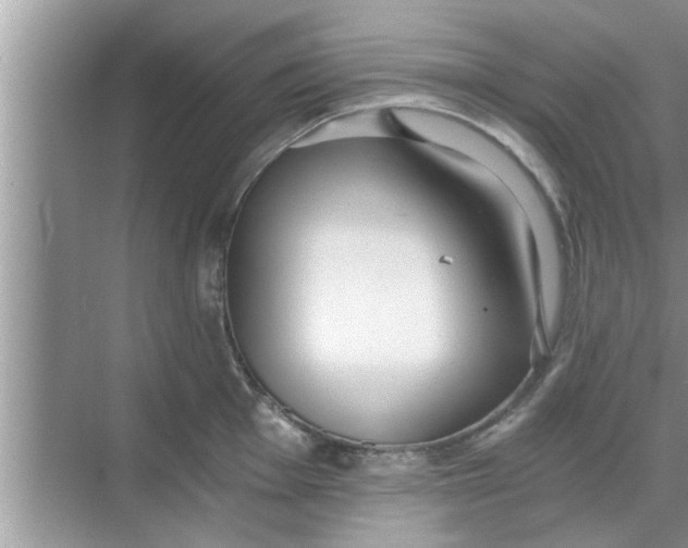 X0000068751001200605121605