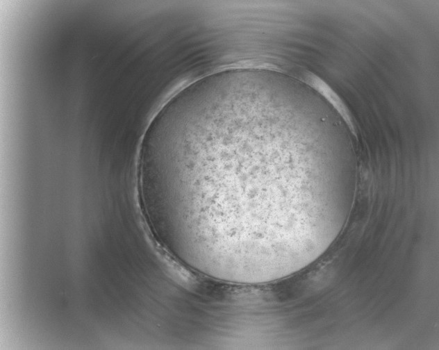 X0000068751002200605121605