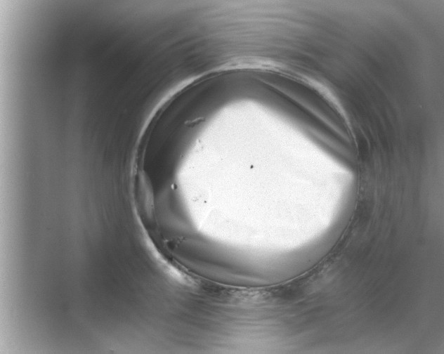 X0000068751003200605121605