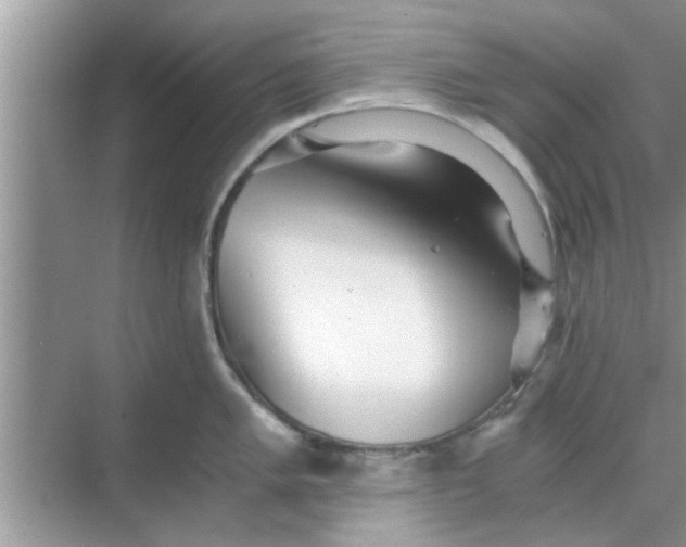 X0000068751005200605121605