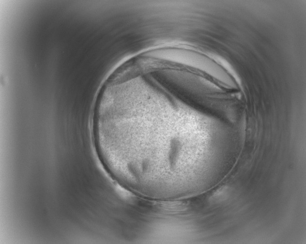 X0000068751007200605121605