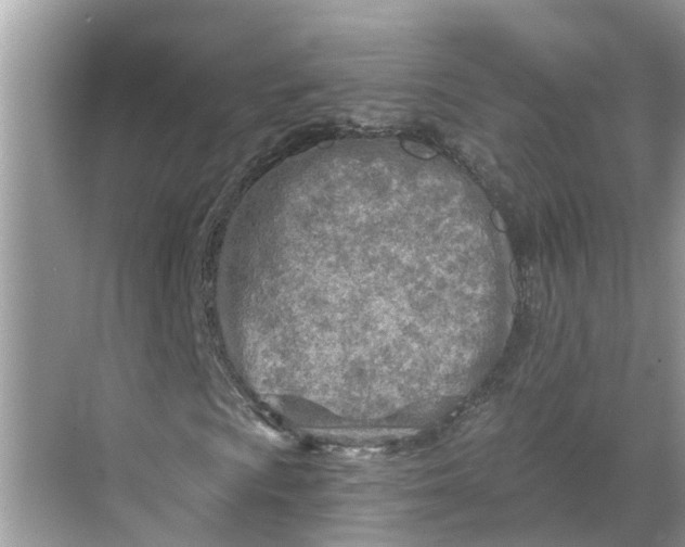 X0000068751009200605121604