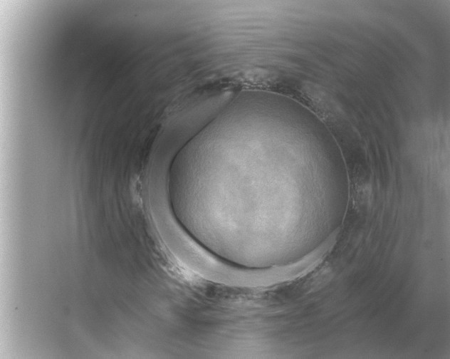 X0000068751010200605121604