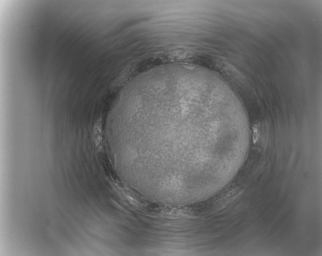 X0000068751011200605121604