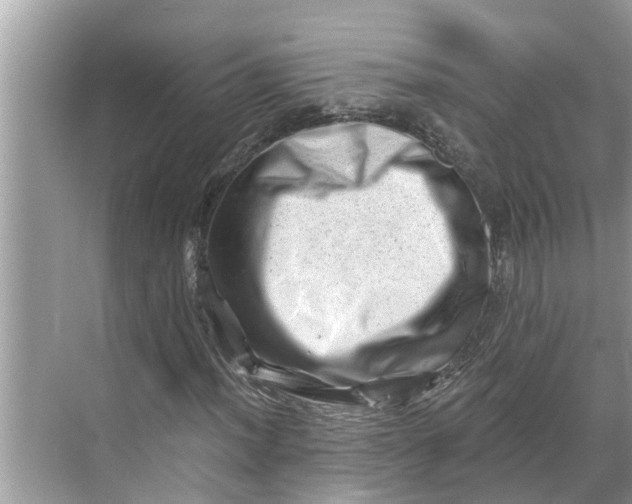 X0000068751012200605121604