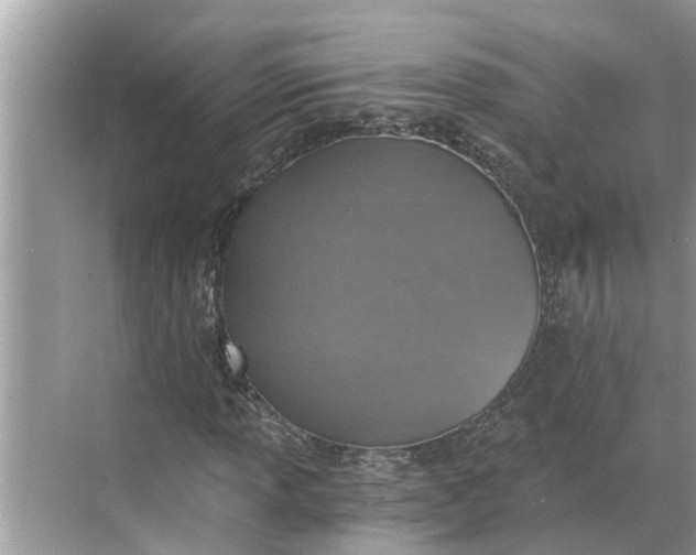 X0000068751013200605121604