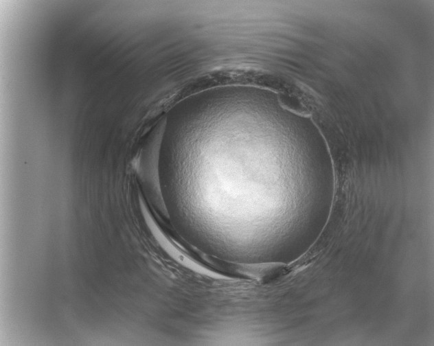 X0000068751014200605121604