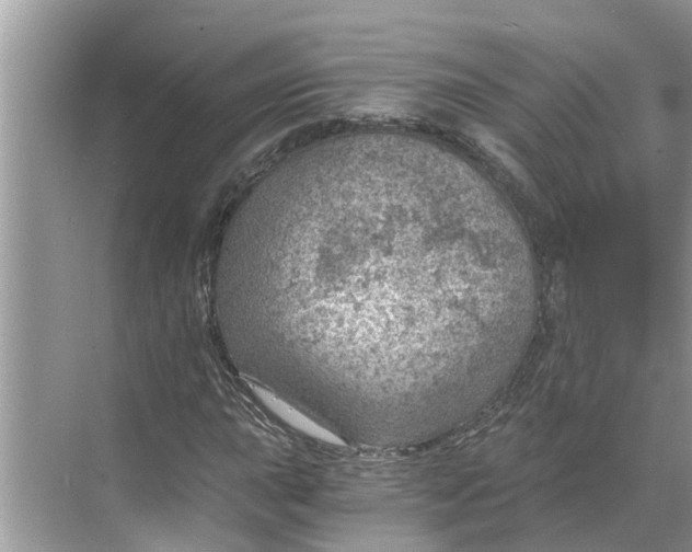 X0000068751015200605121604