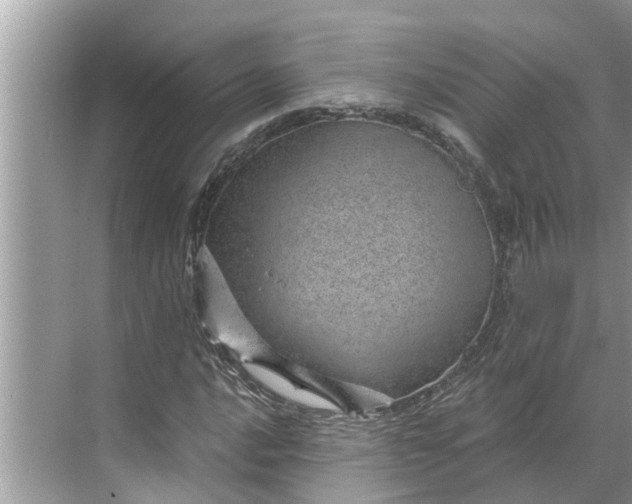 X0000068751016200605121604