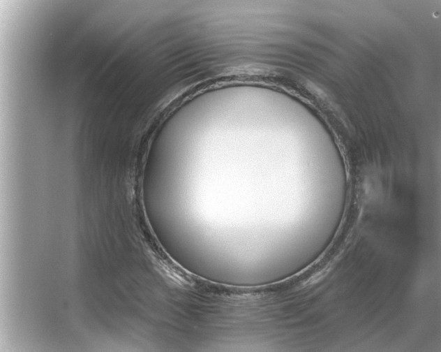 X0000068751017200605121604