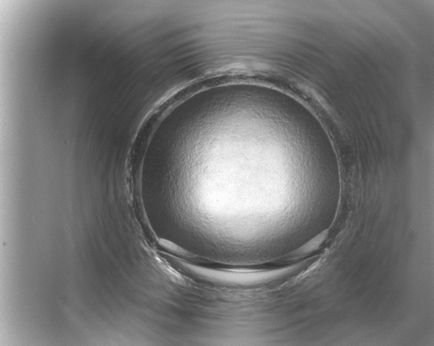 X0000068751018200605121604