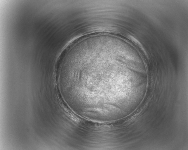 X0000068751019200605121604