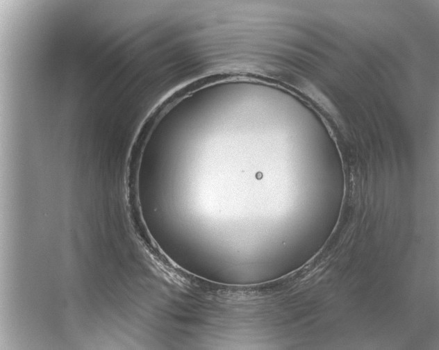 X0000068751020200605121604