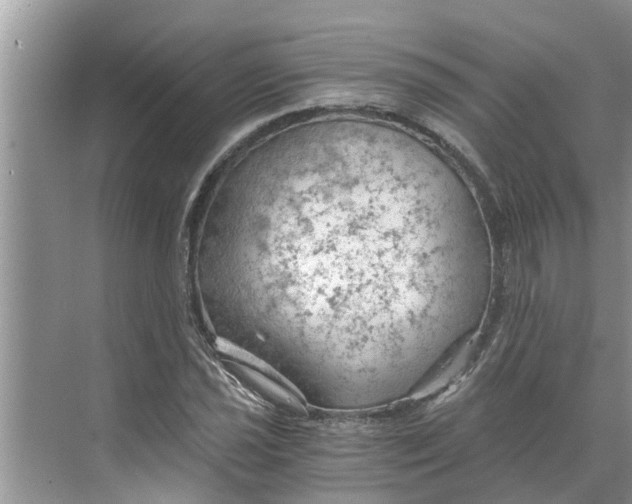 X0000068751021200605121604