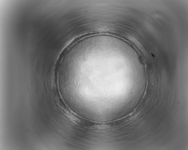 X0000068751023200605121604