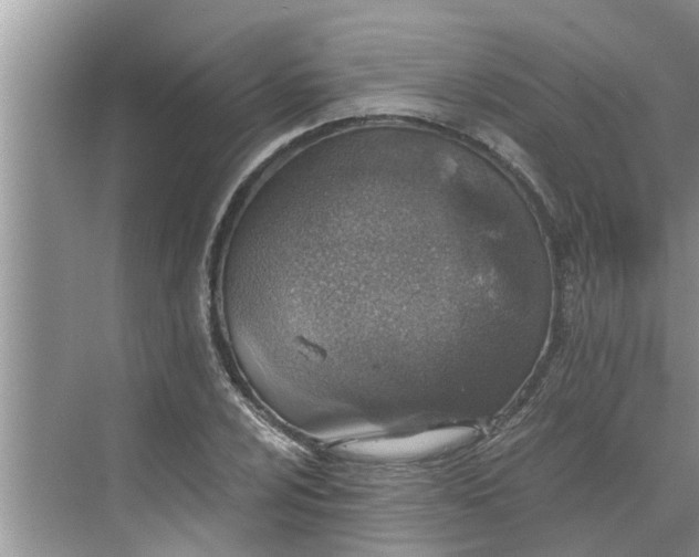 X0000068751024200605121604