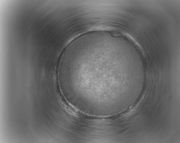 X0000068751025200605121604