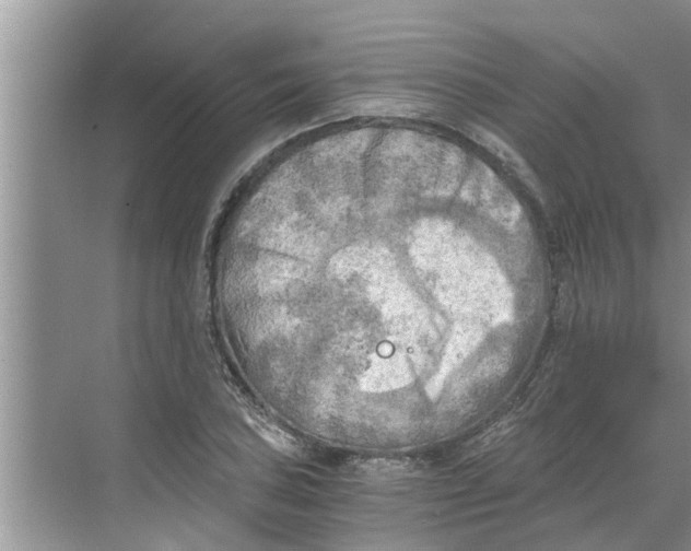 X0000068751027200605121604