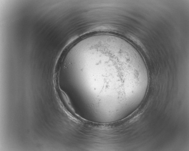 X0000068751029200605121604