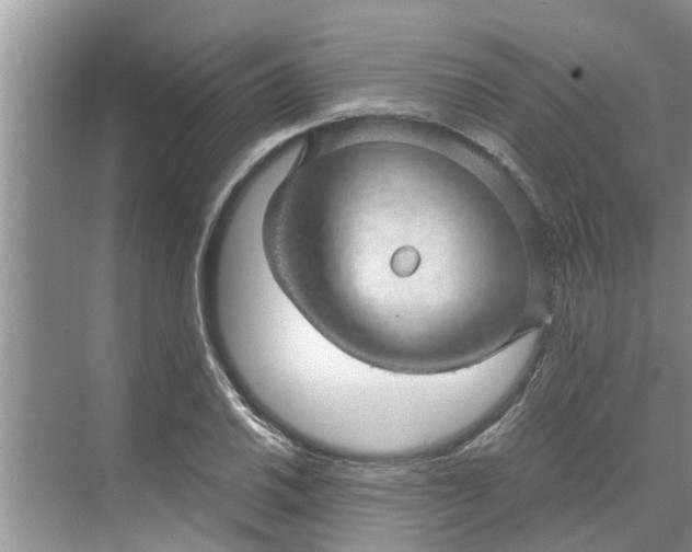 X0000068751030200605121604