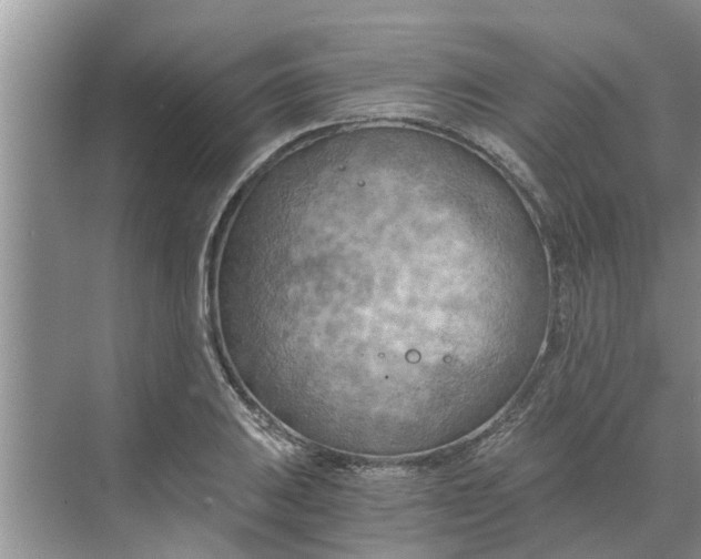 X0000068751031200605121604