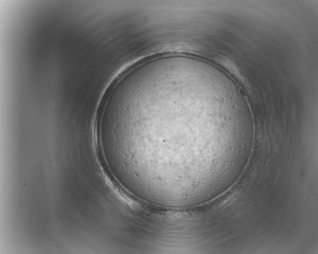 X0000068751032200605121604