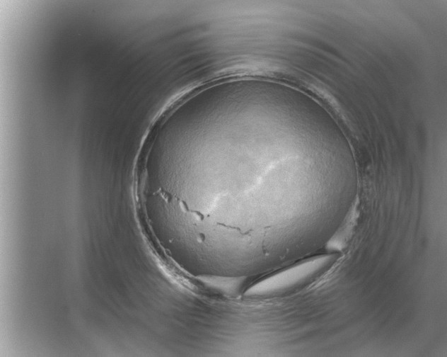 X0000068751034200605121604