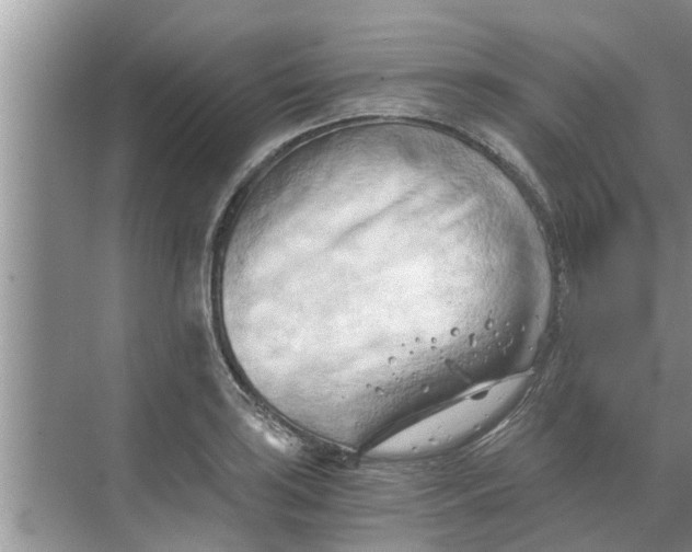 X0000068751035200605121604