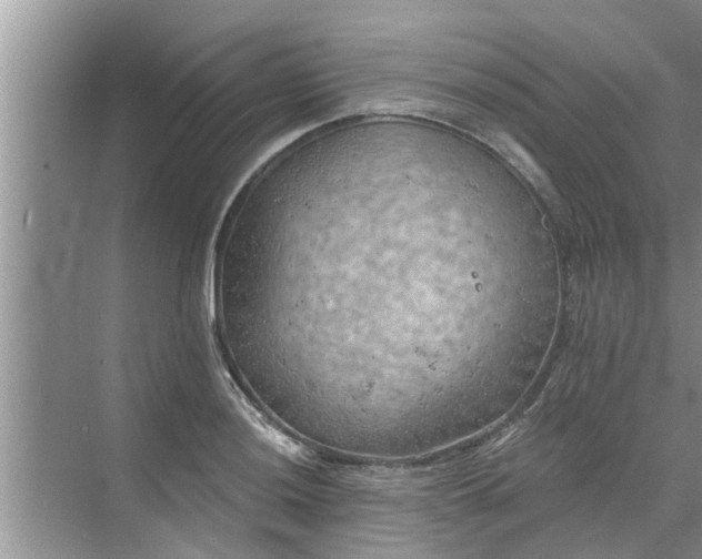 X0000068751036200605121604