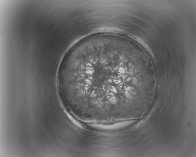 X0000068751037200605121604