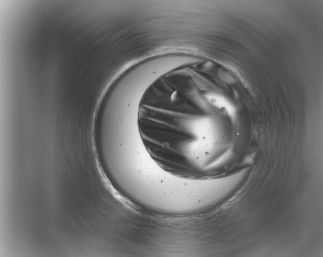 X0000068751038200605121604