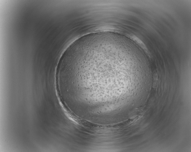 X0000068751039200605121604