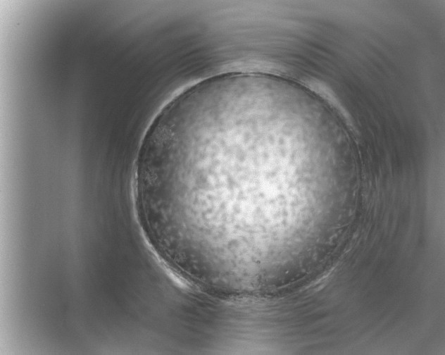 X0000068751040200605121604