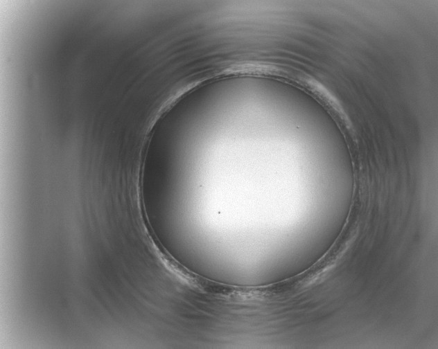 X0000068751041200605121604