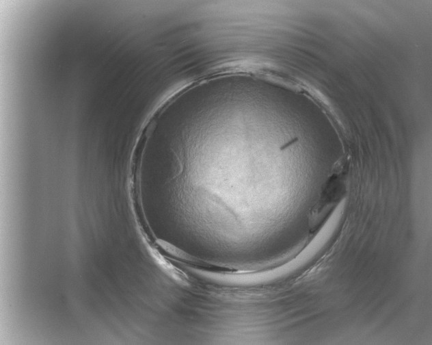 X0000068751042200605121604