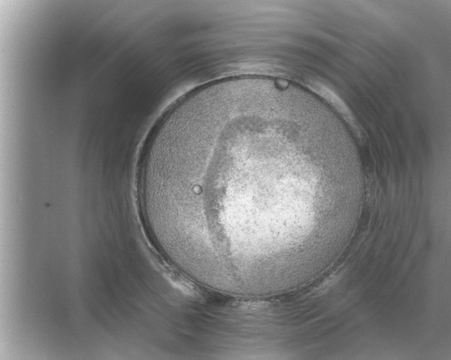 X0000068751043200605121604