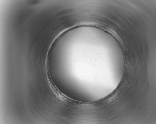 X0000068751044200605121604