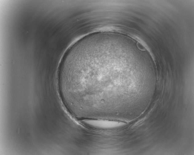 X0000068751045200605121605