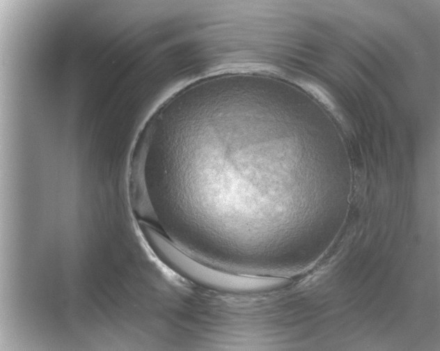 X0000068751046200605121605