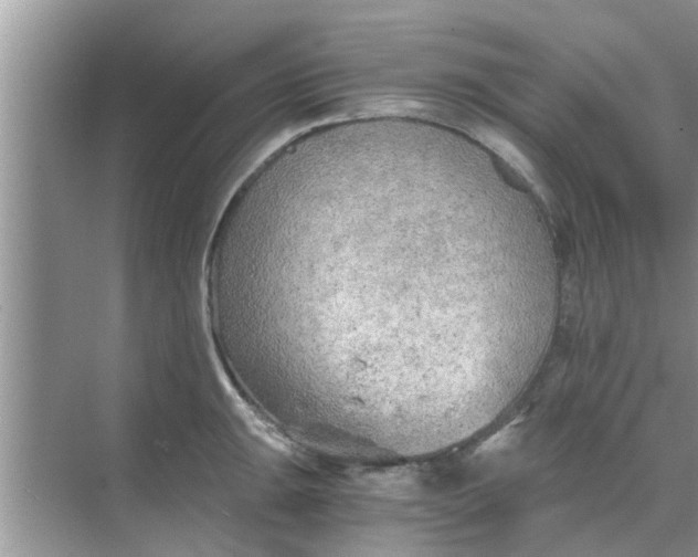 X0000068751047200605121605