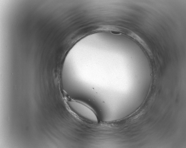 X0000068751049200605121605