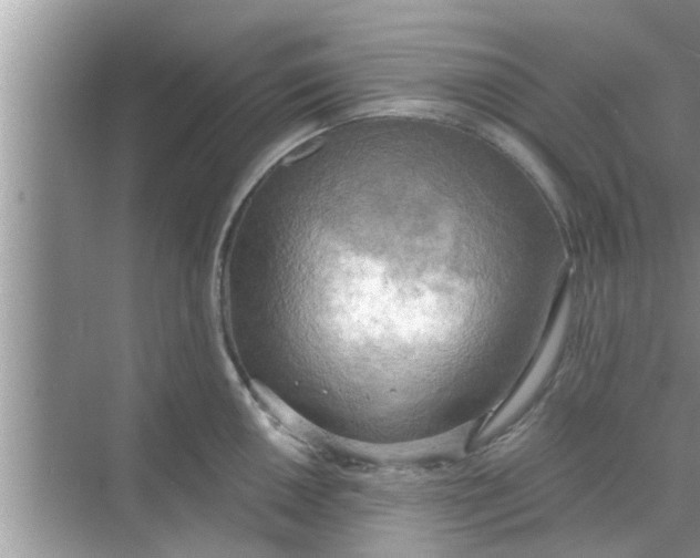 X0000068751050200605121605