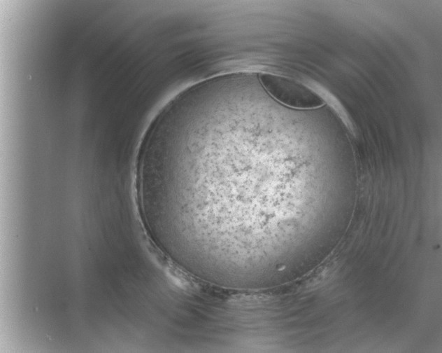 X0000068751051200605121605